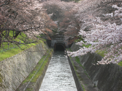 琵琶湖疏水関連遺産　琵琶湖疏水